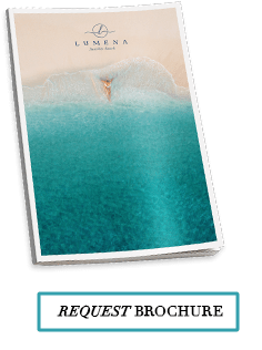 Request Brochure banner
